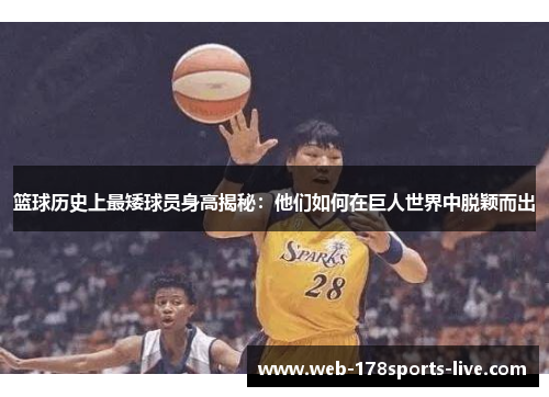 篮球历史上最矮球员身高揭秘:他们如何在巨人世界中脱颖而出