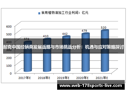 耐克中国经销商发展战略与市场挑战分析:机遇与应对策略探讨