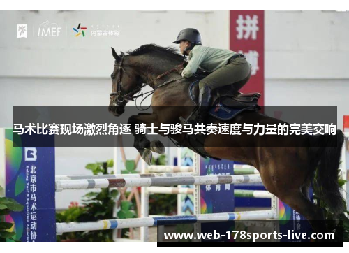 马术比赛现场激烈角逐 骑士与骏马共奏速度与力量的完美交响